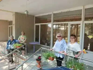 Сосновый бор - 24