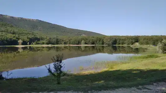 Скелепарк - 78