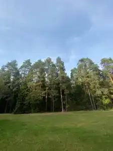 Мирный - 40