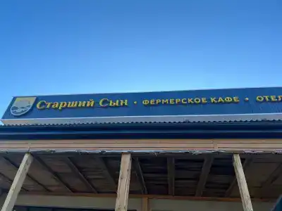 Старший сын - 17