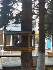 Волжанка - 32