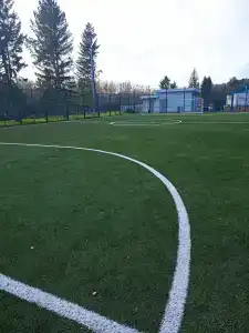 Буревестник - 1