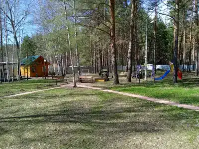 Питомник - 17