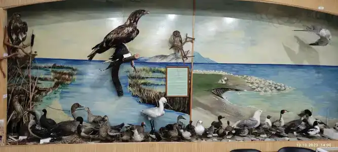 Байкальский государственный природный биосферный заповедник - 53