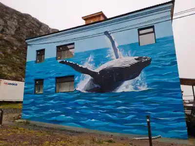 Морошка - 4