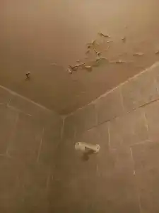 Центральная - 7