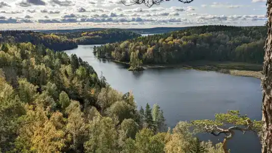 Берег Ладоги - 15