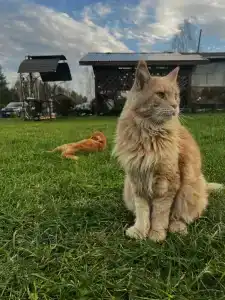 Четыре сезона - 15