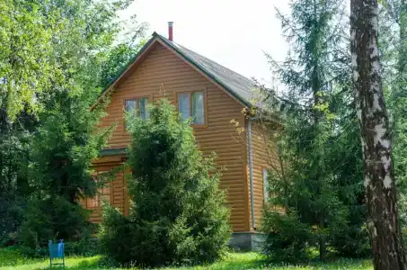 Березовая роща - 22