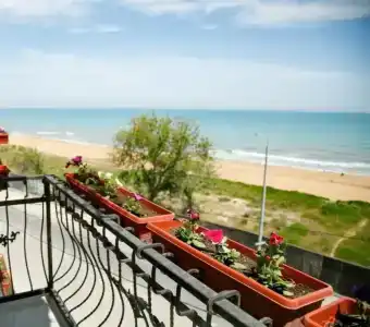 Метрополь - 2