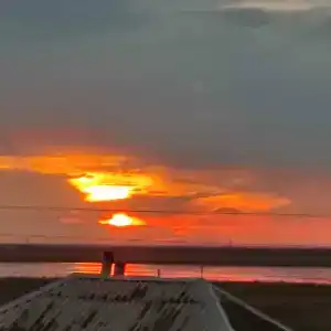 Фламинго - 2