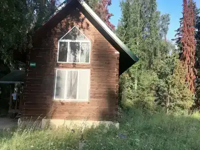 Рябинушка - 29