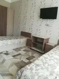Сольцы - 13