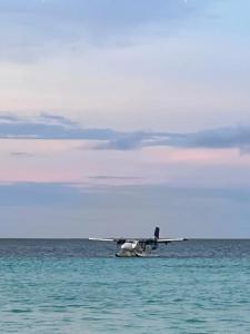 Riu Palace Maldives - 49