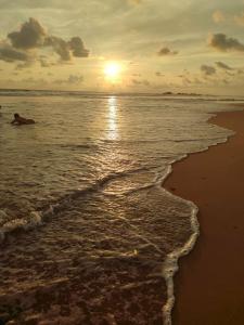 Hansa Surf - 22