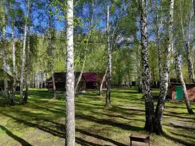 Солнечная Поляна - 3