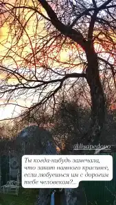 Лисапедово - 25