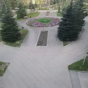 Борок - 35