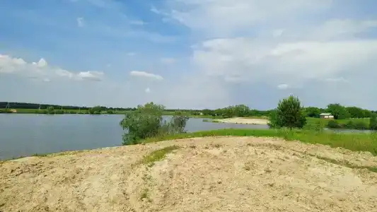 Белый лис - 17