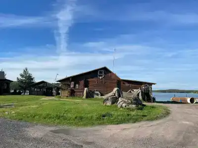 Аурелия - 41