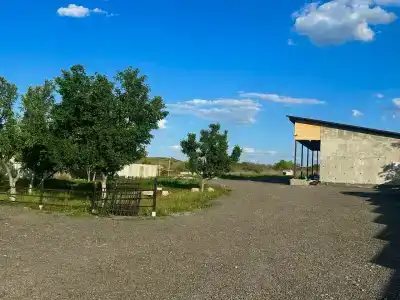 Московский - 29