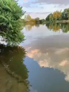 Зеленая Пристань - 25
