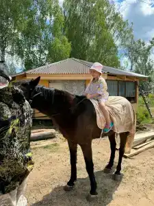 Стрижели - 26