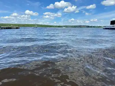 Троицкое - 65