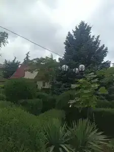 Уют - 44
