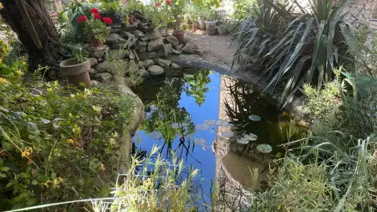 КристОля - 3