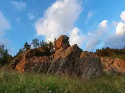Тайга - 28