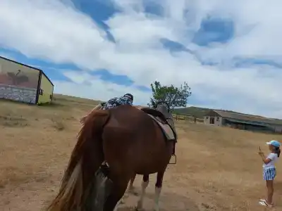 Страусиная ферма Экзотик - 12