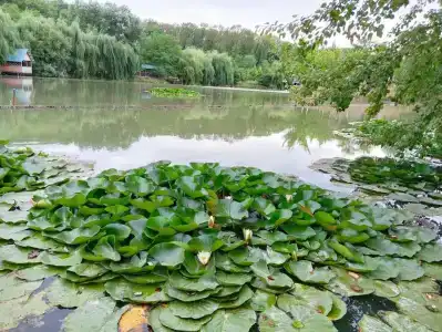 Хуторок - 2