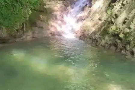 Гостевой дом у Кедра - 3