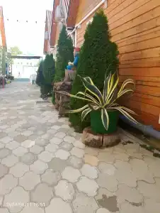 Морская дача Арабеска - 16