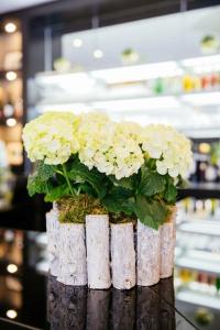 Best Western Plus Le Moderne - 38