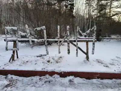 Бузим Красноярск - 82