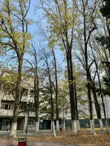 Приморье - 96