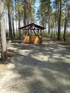 Ясная поляна - 26