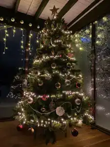 Метелица - 81