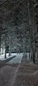 Жемчужина - 33