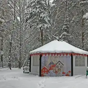 Домик в лесу - 88