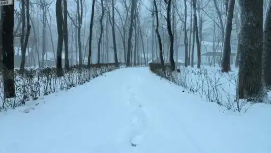 Хуторок - 29