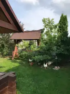 Серый Волк - 78