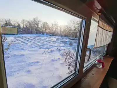 Смородина - 11