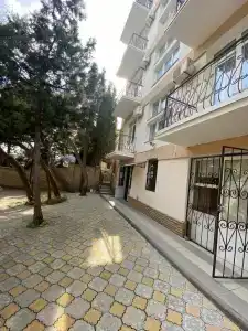 Розмарин - 9