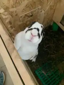 Кроличья нора - 88