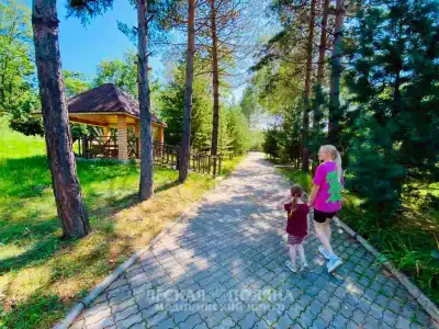 Лесная поляна - 7