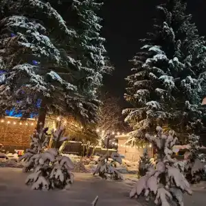 View Ga Волочаевка - 19