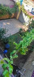 Сухов - 7
